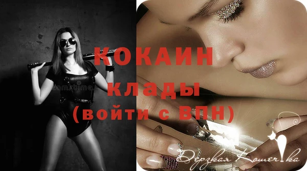 дживик Медвежьегорск